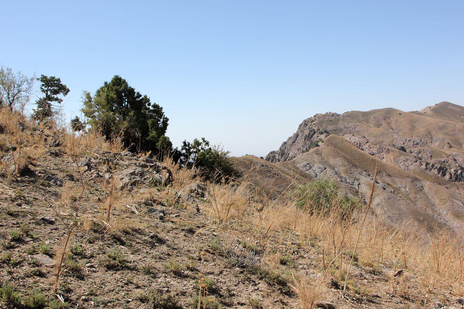 Верховье Бельдерсая, image of landscape/habitat.