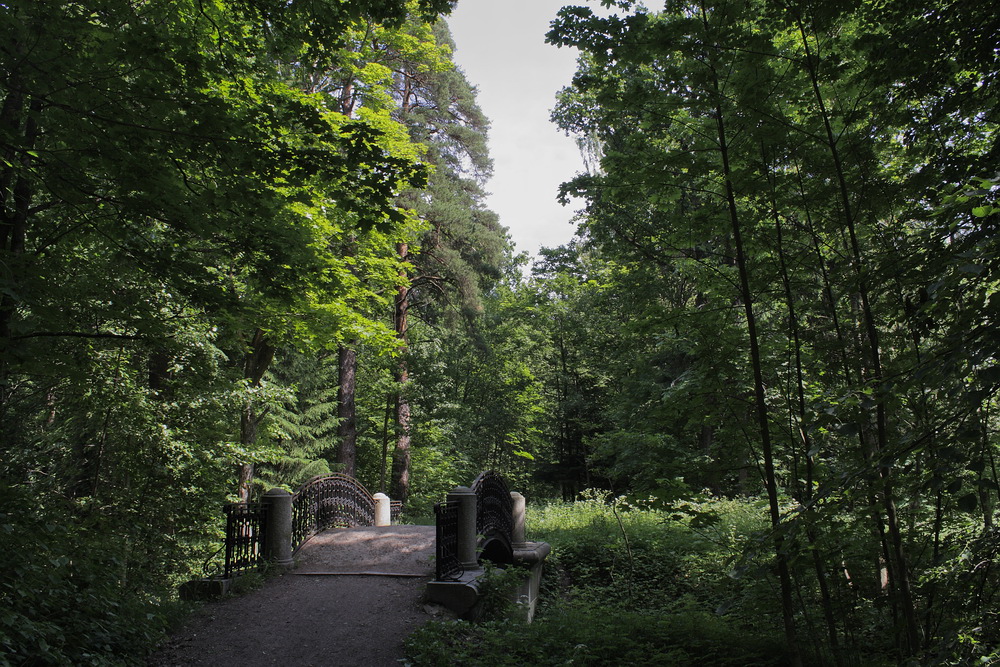 Парк "Сергиевка", image of landscape/habitat.