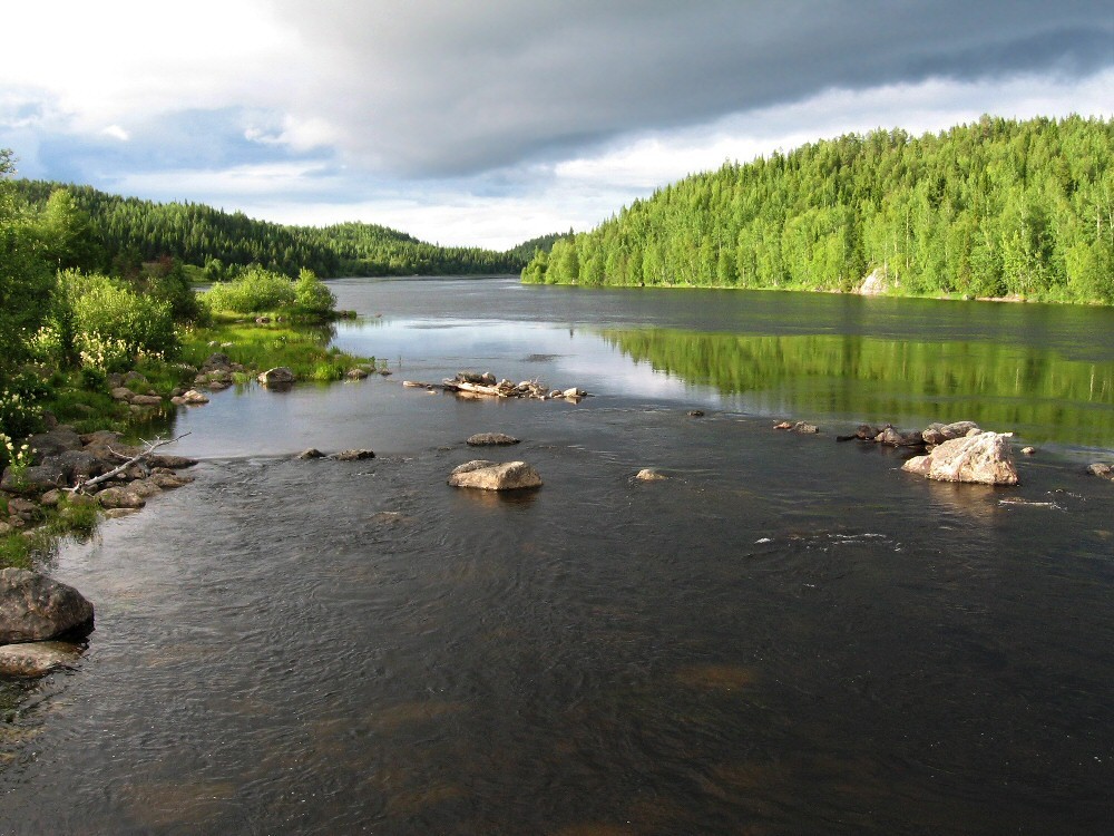 Умба, image of landscape/habitat.