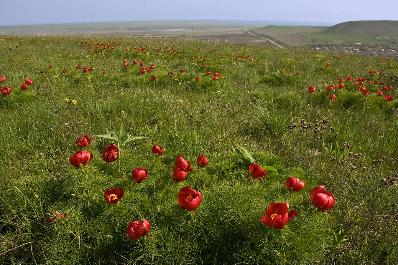 Плато Узун-Сырт (Клементьева), image of landscape/habitat.