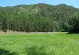 Image of landscape