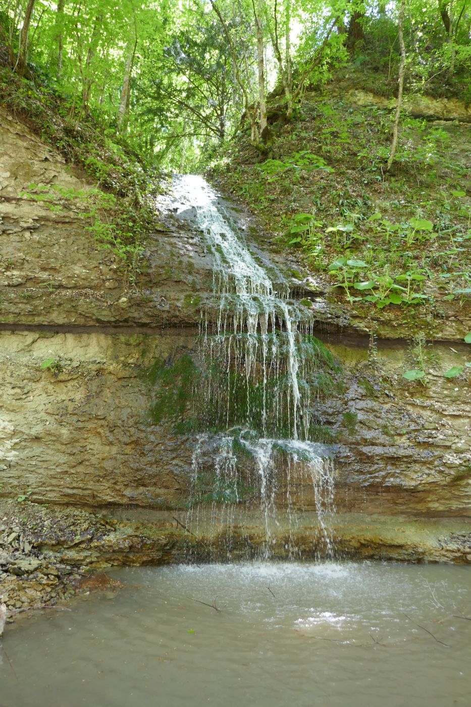 Долина реки Аминовка, image of landscape/habitat.