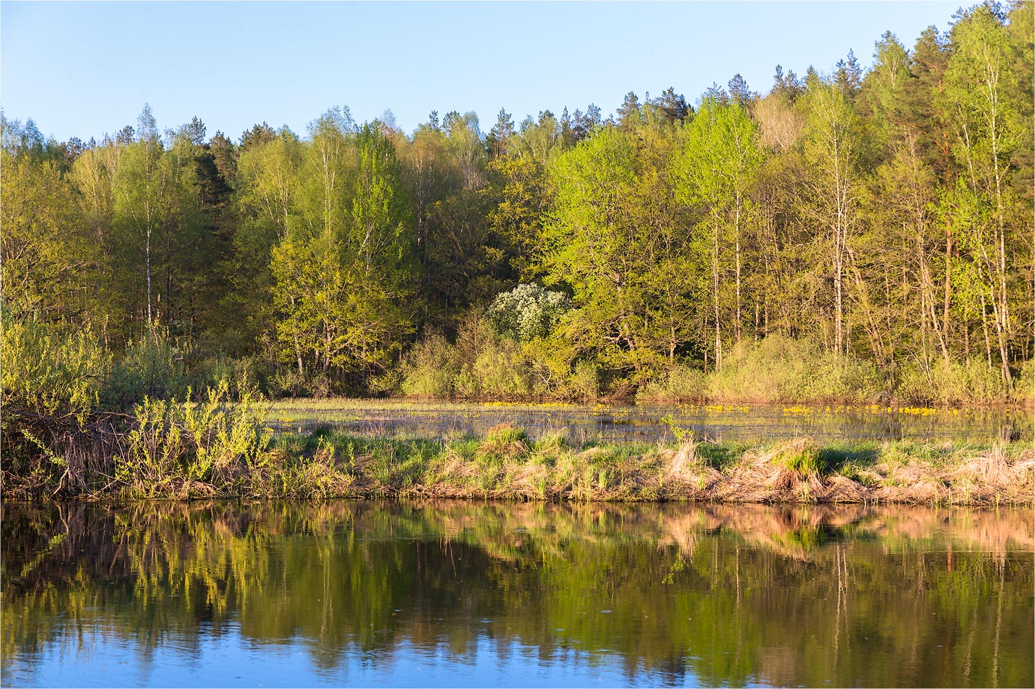 Ловать, image of landscape/habitat.