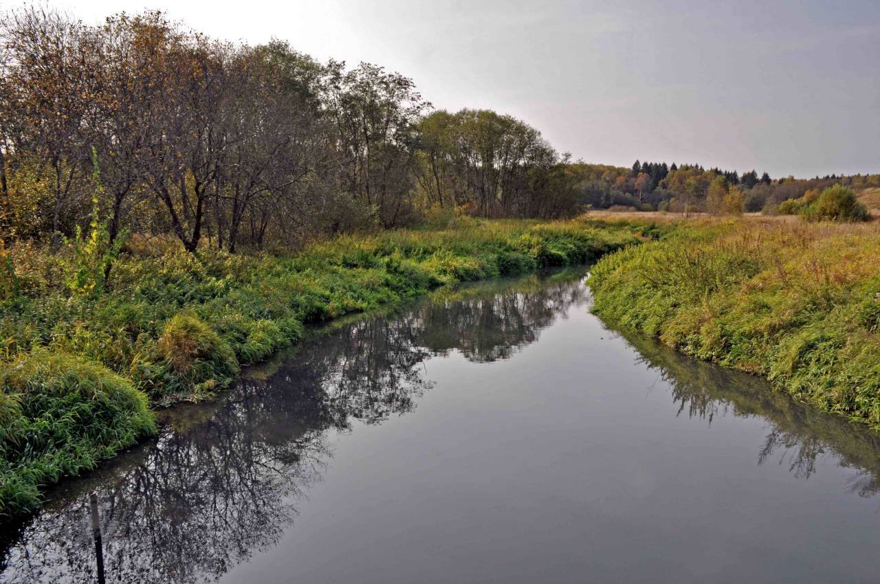 Долина реки Пажа, image of landscape/habitat.
