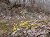 Глубокий Яр, image of landscape/habitat.