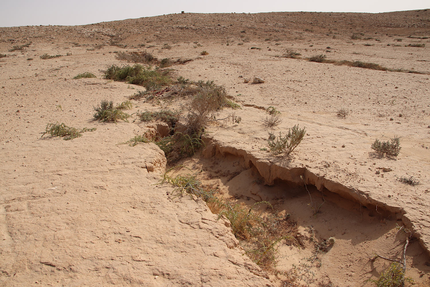 Побережье у Эль-Дабаа, изображение ландшафта.