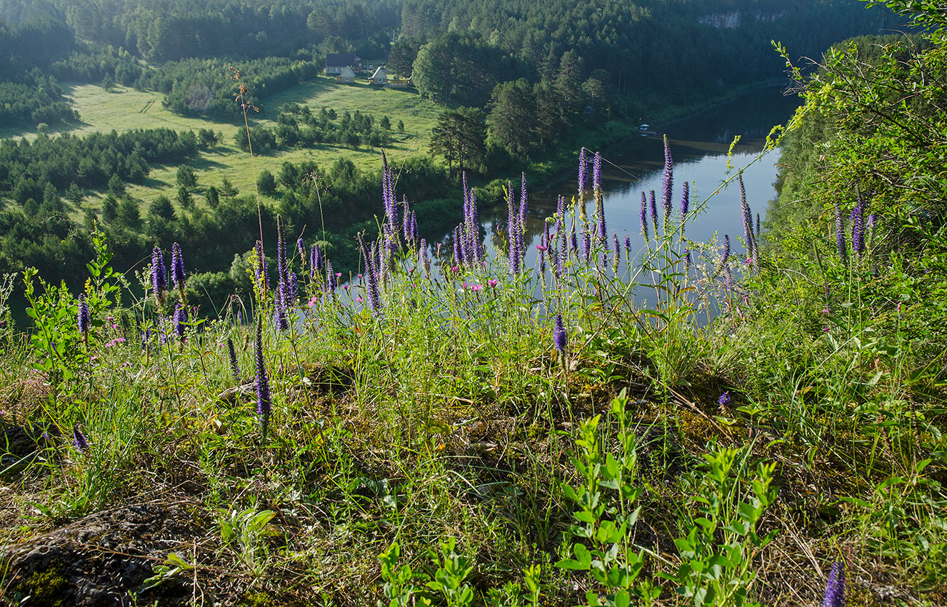 Окрестности Арасланово, image of landscape/habitat.