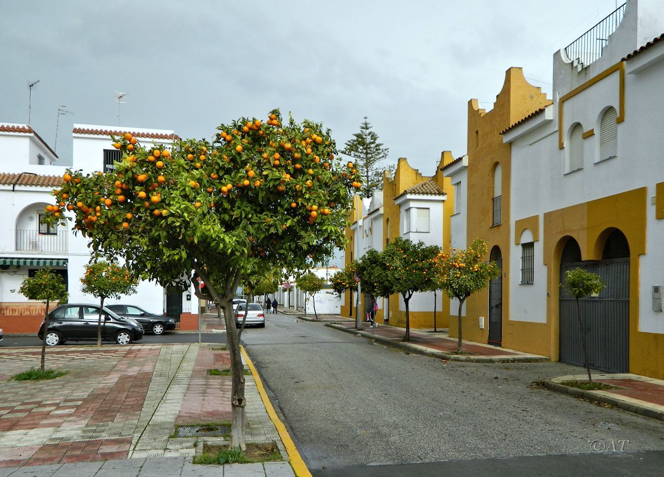 Санлукар-де-Баррамеда, image of landscape/habitat.