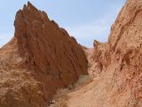Image of landscape