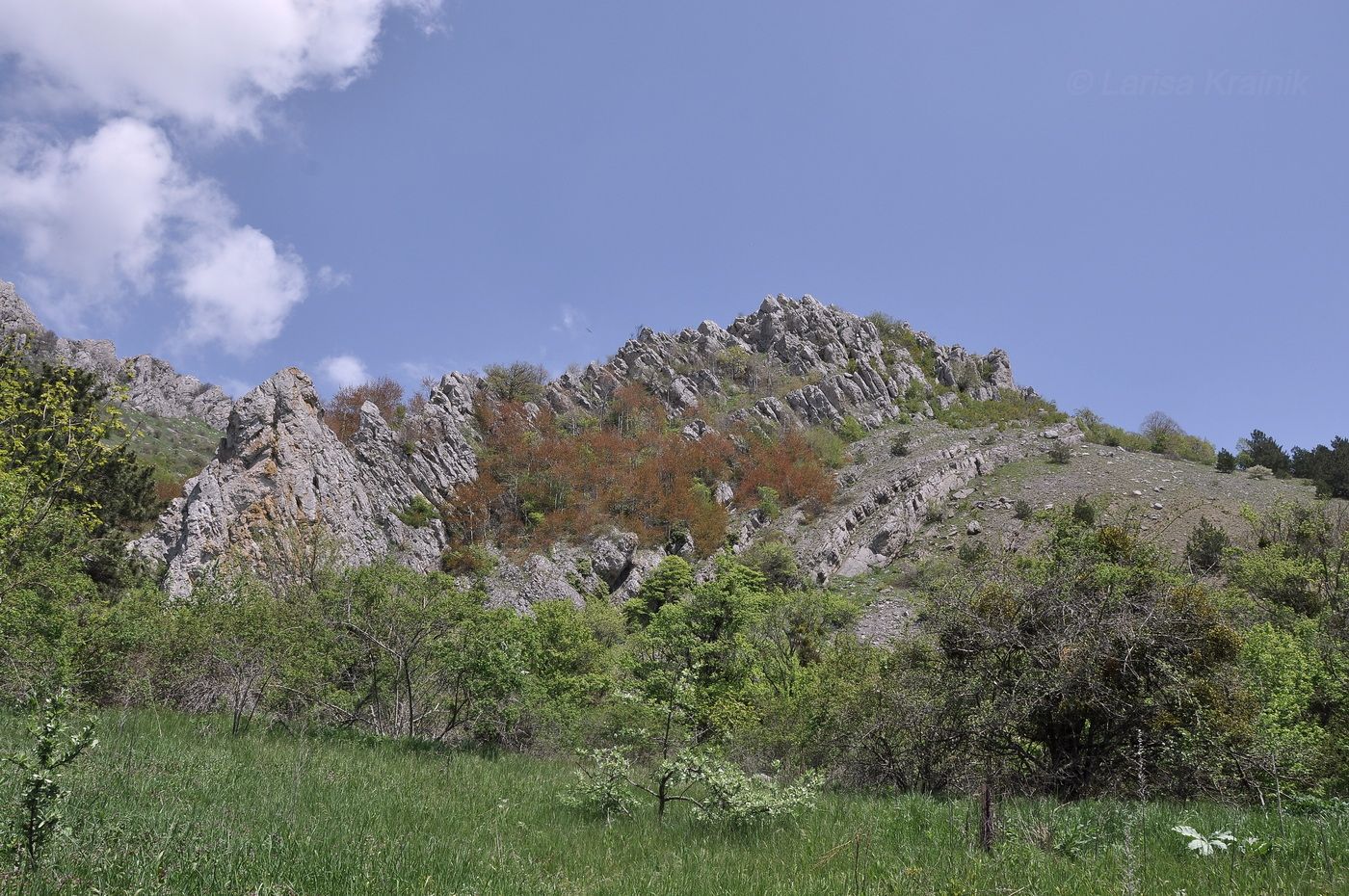 Урочище Чигенитра, изображение ландшафта.
