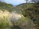 Image of landscape