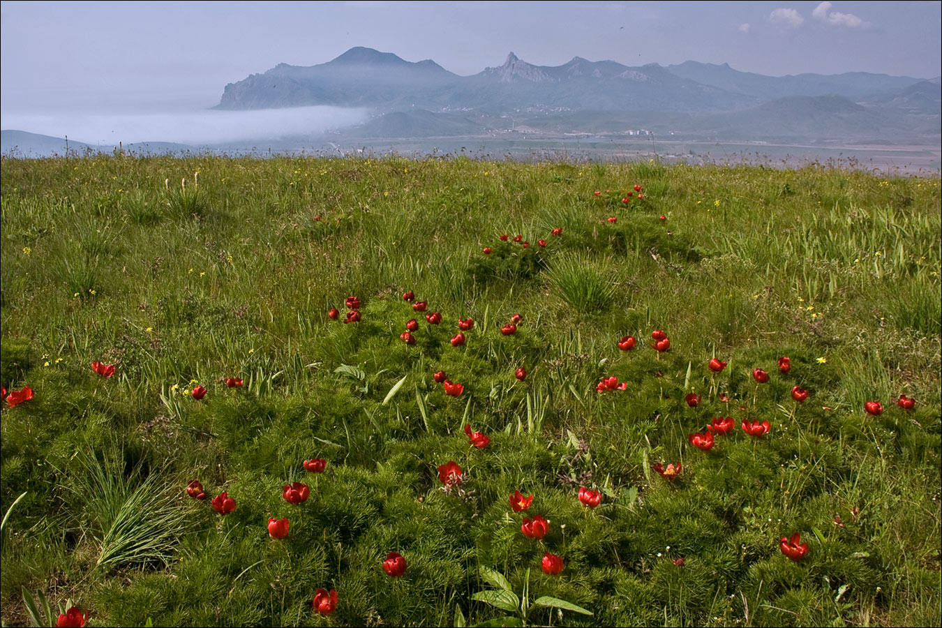 Плато Узун-Сырт (Клементьева), image of landscape/habitat.