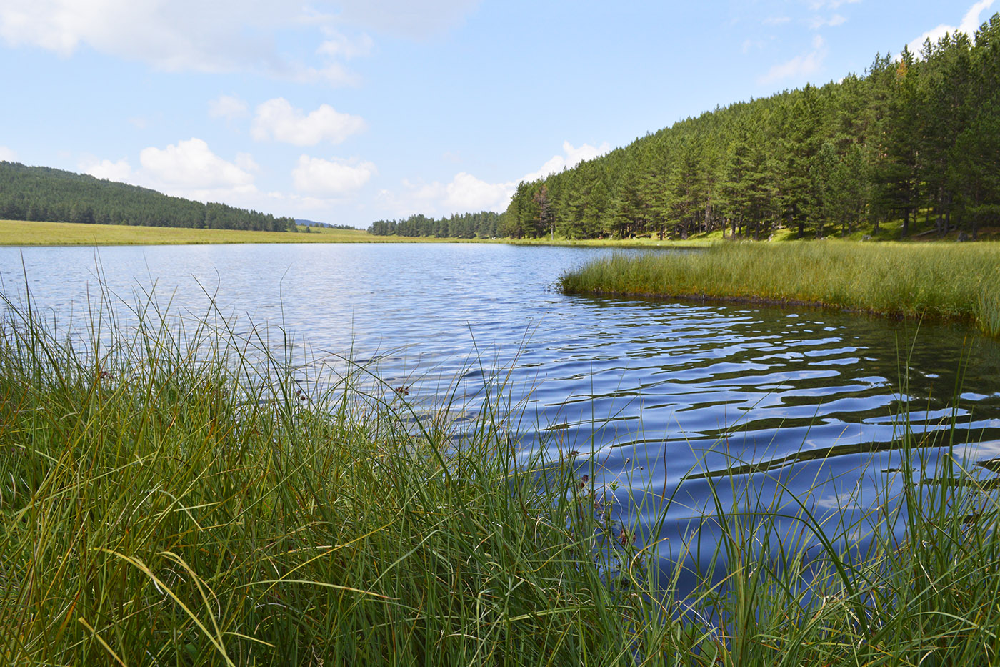 Озеро Хурла-Кёль, image of landscape/habitat.