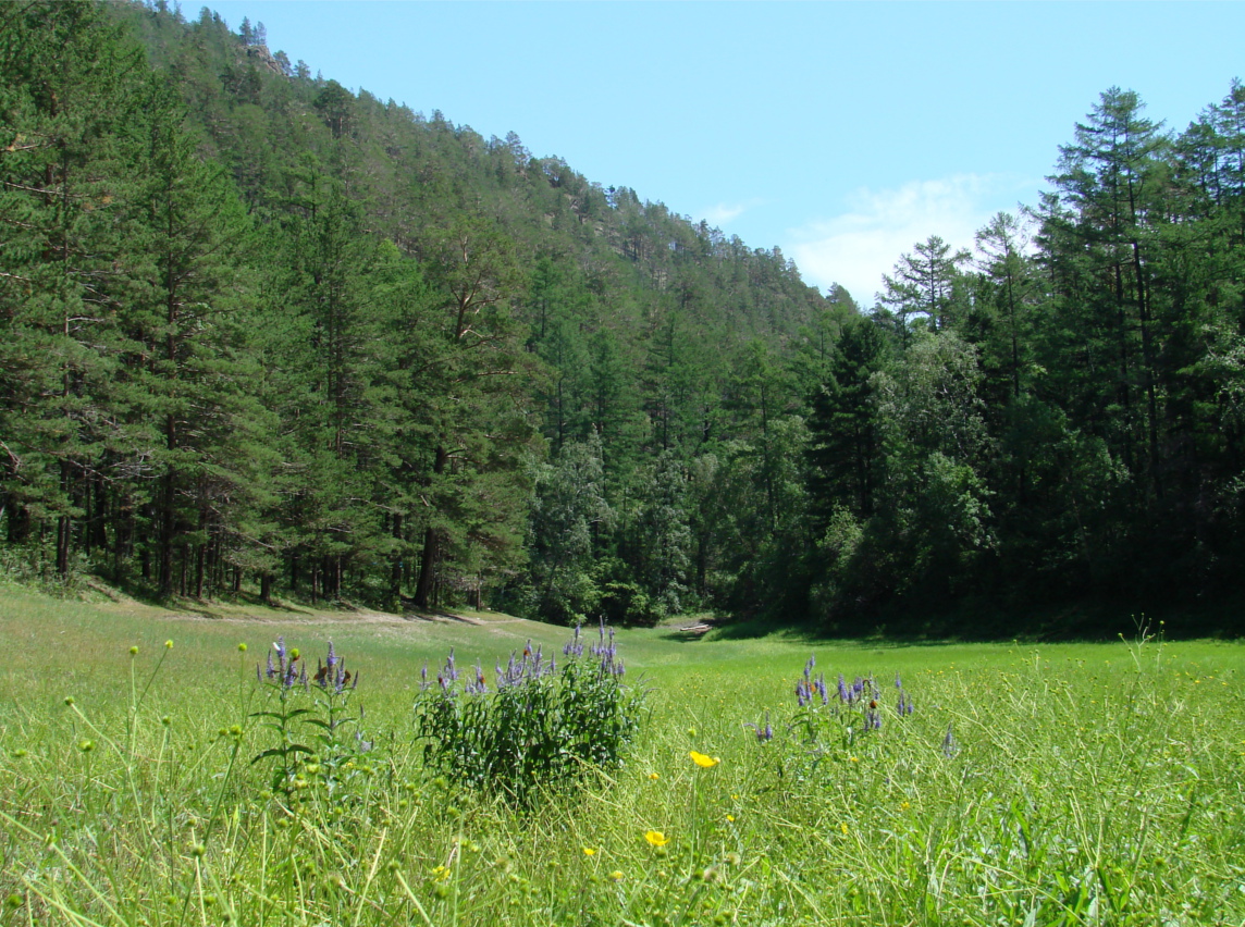 Сухое озеро, image of landscape/habitat.