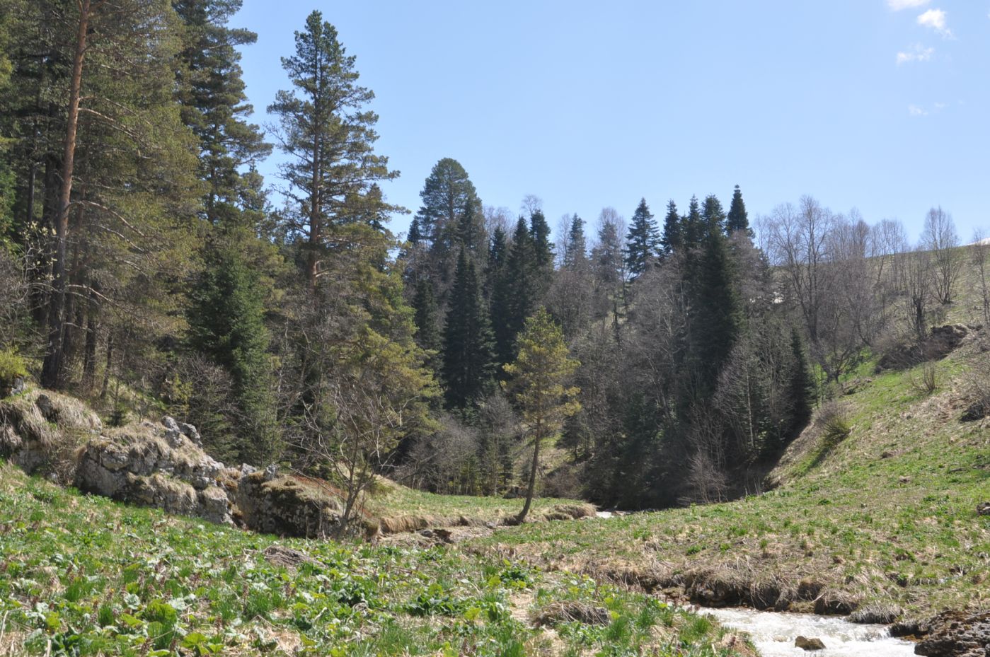 Окрестности истоков р. Курджипс, image of landscape/habitat.