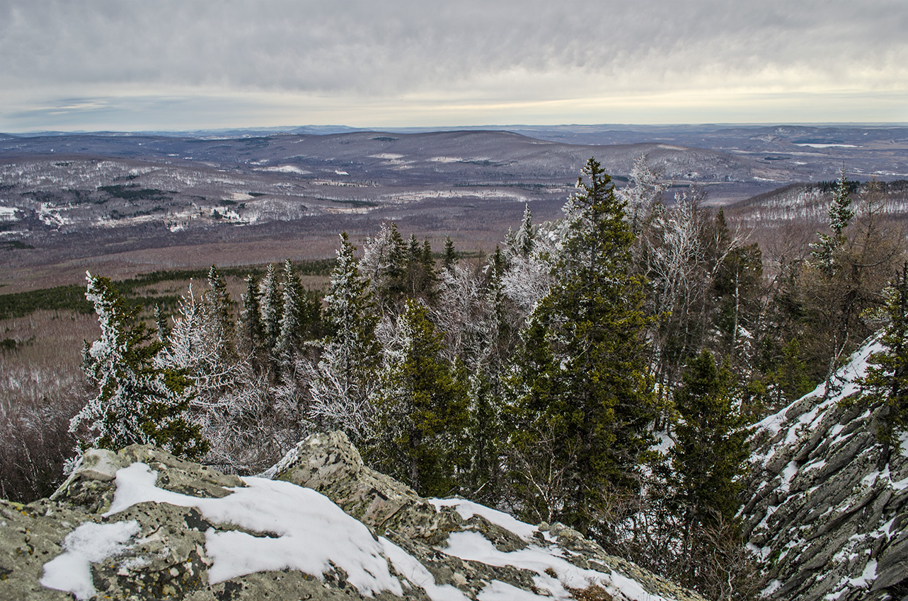 Окрестности села Вознесенка, image of landscape/habitat.