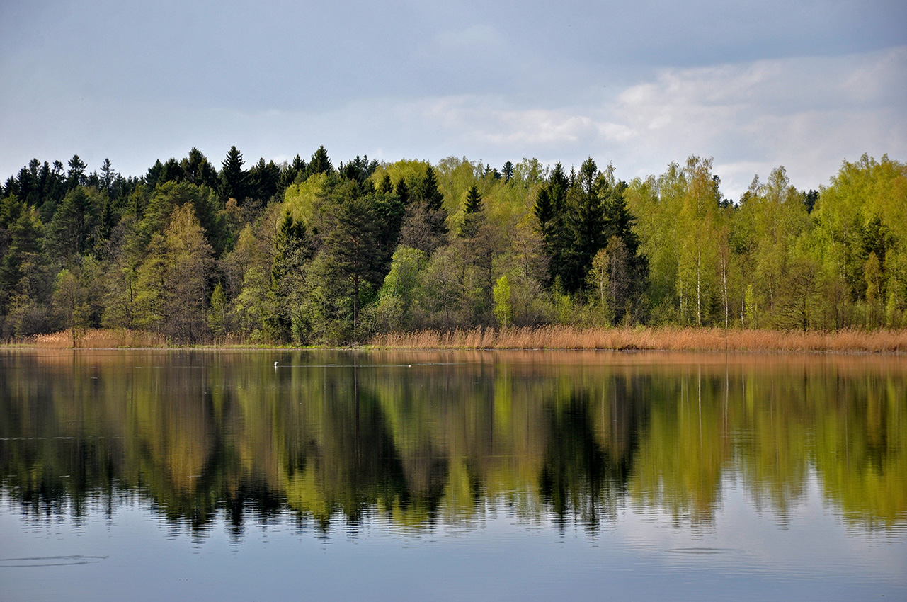 Валдай, image of landscape/habitat.