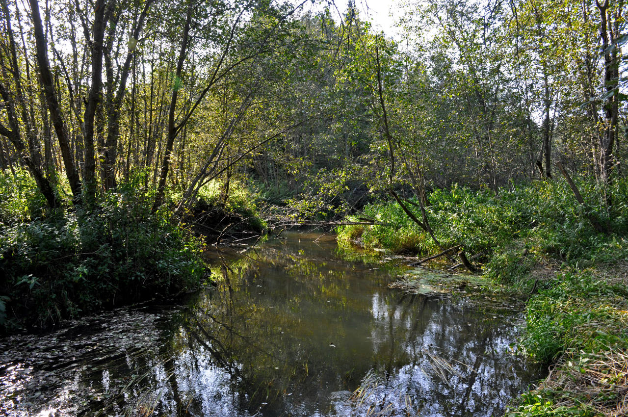 Долина реки Пажа, image of landscape/habitat.