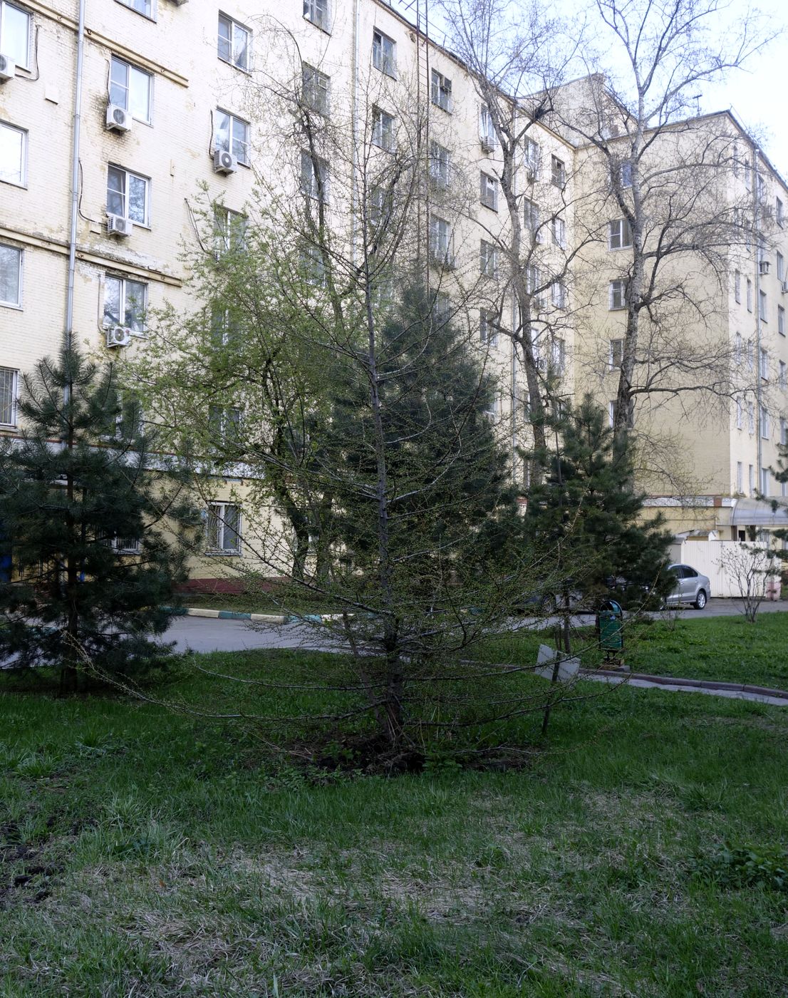 Лефортово, image of landscape/habitat.