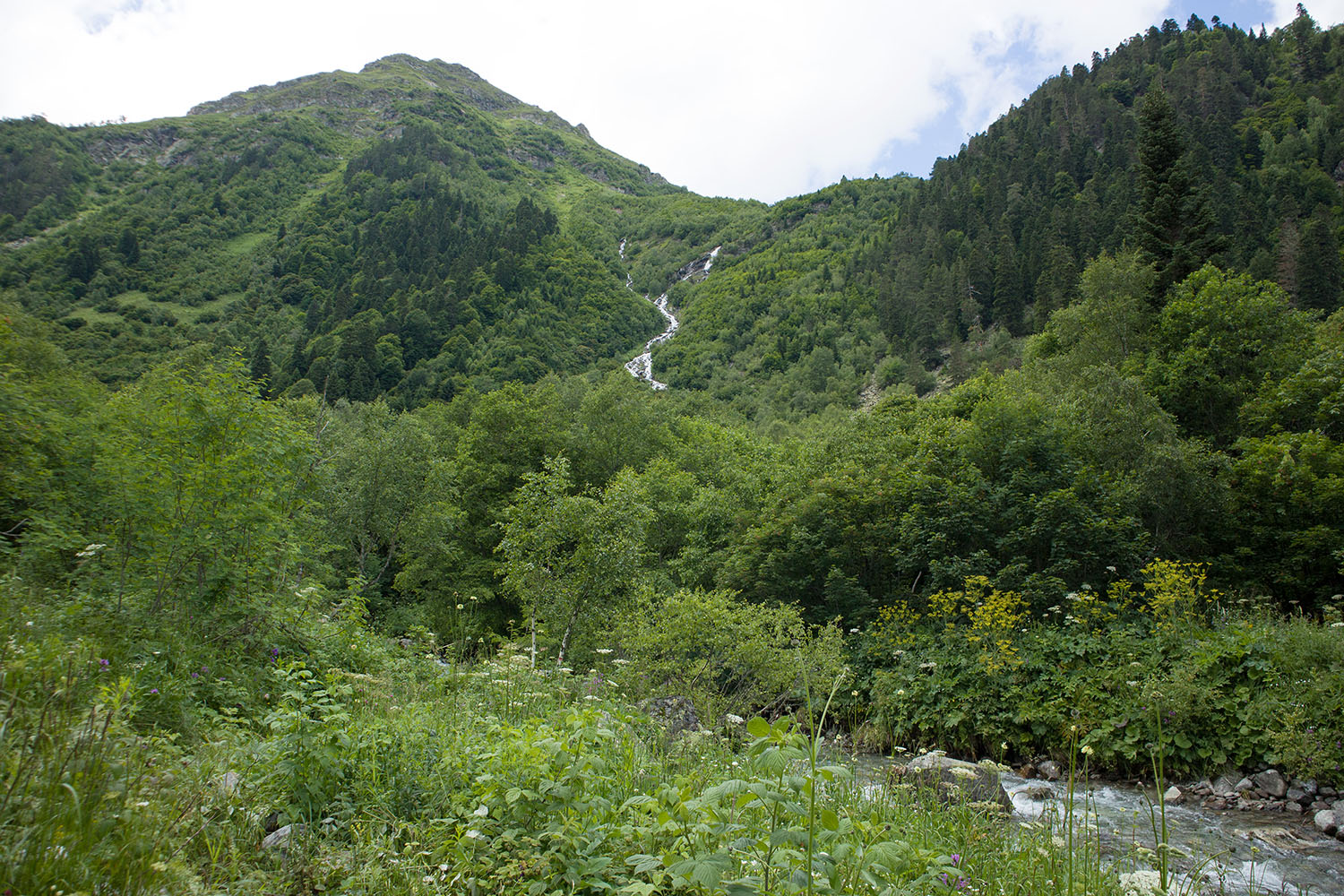 Имеретинка, image of landscape/habitat.