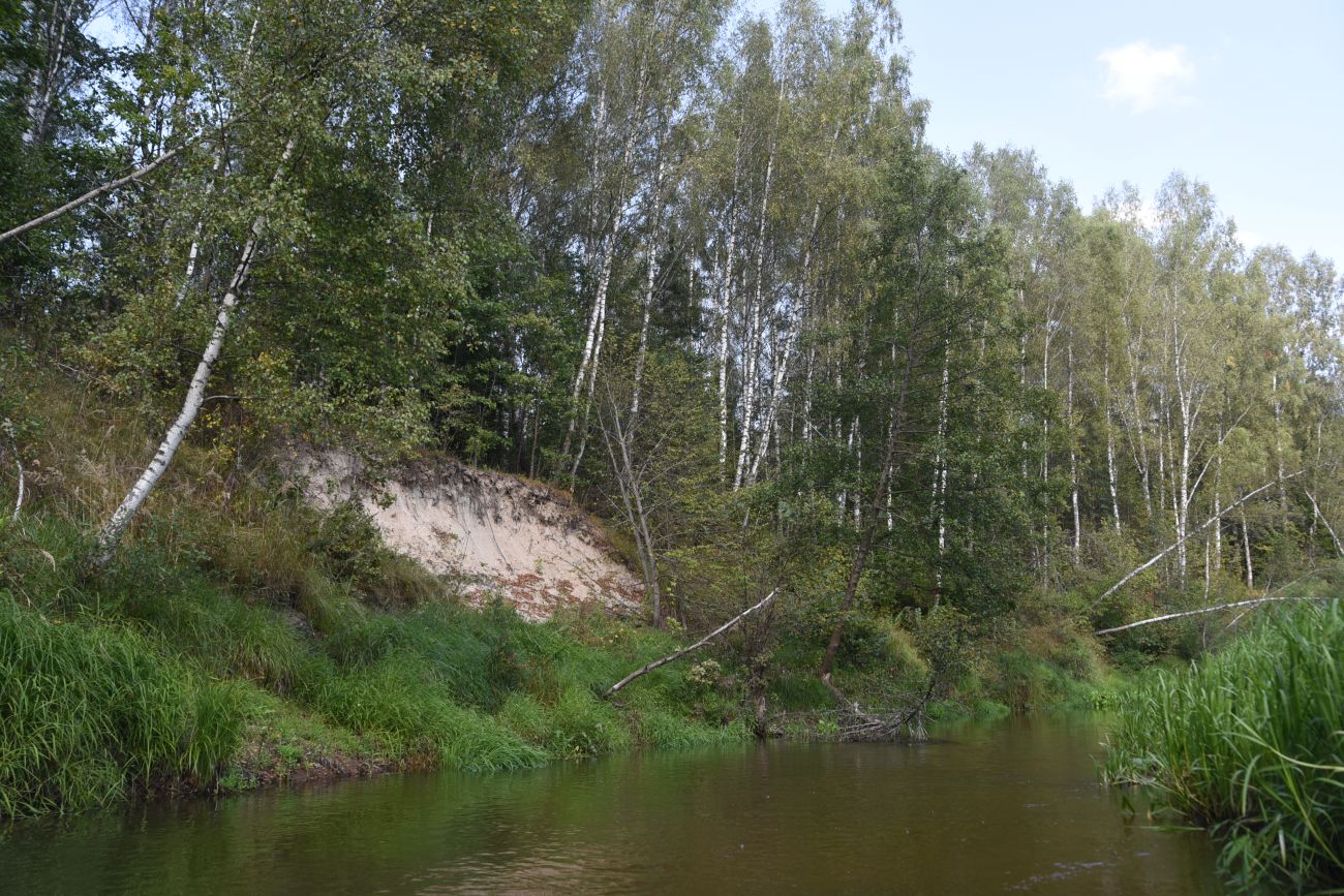 Устье ручья Радубеж, image of landscape/habitat.