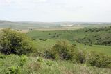 Image of landscape