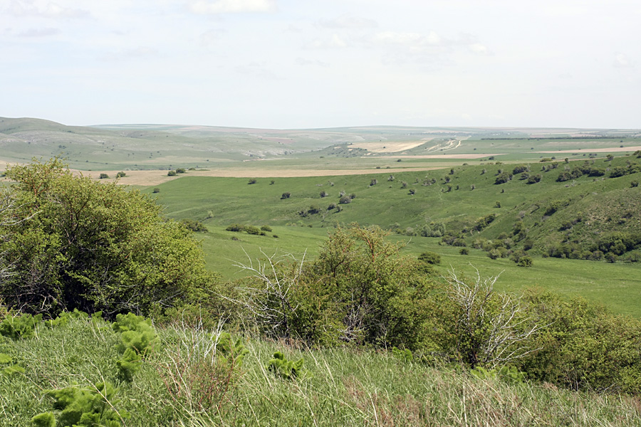 Боролдайтау - северный склон, image of landscape/habitat.
