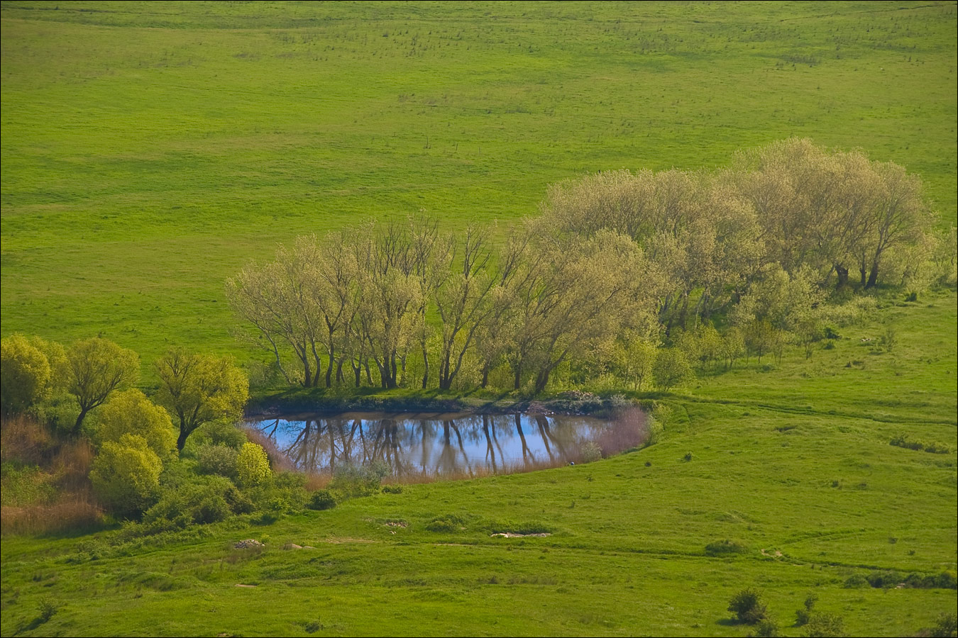 Плато Узун-Сырт (Клементьева), image of landscape/habitat.