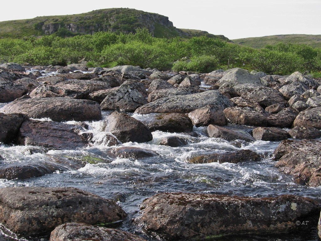 Междуречье Олёнки и Трящины, image of landscape/habitat.