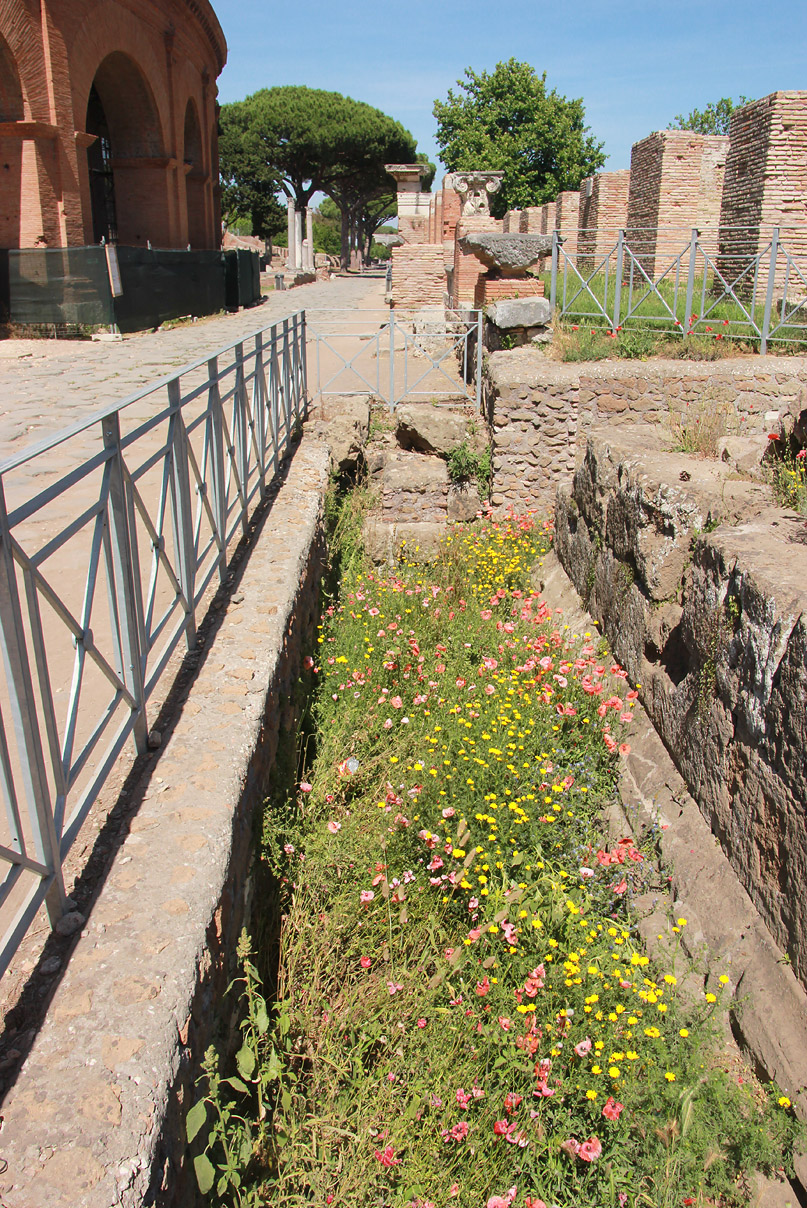 Остия-Антика, image of landscape/habitat.