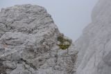 Image of landscape