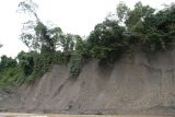 Окрестности кампонга Лабанг, image of landscape/habitat.