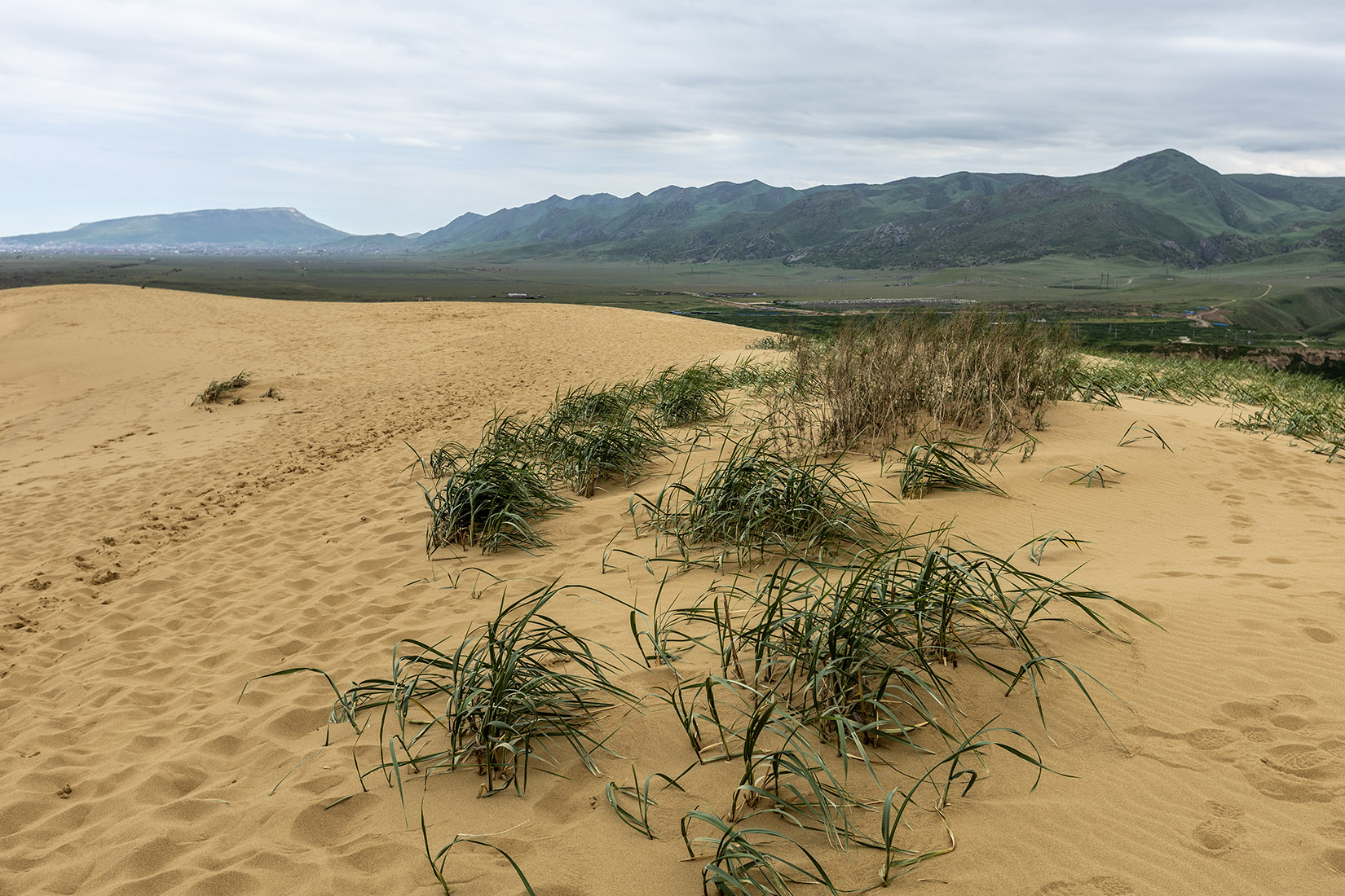 Бархан Сарыкум, image of landscape/habitat.