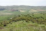 Image of landscape