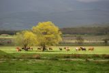 Image of landscape