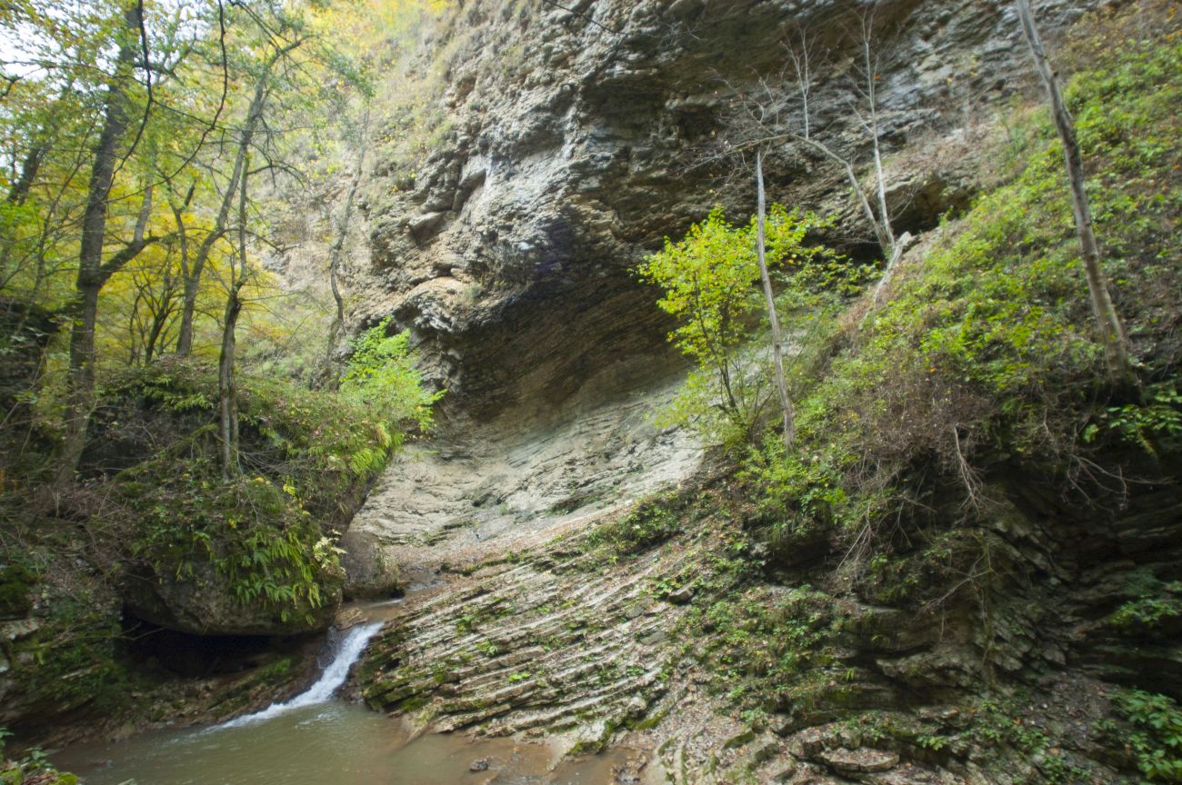 Долина реки Руфабго, image of landscape/habitat.