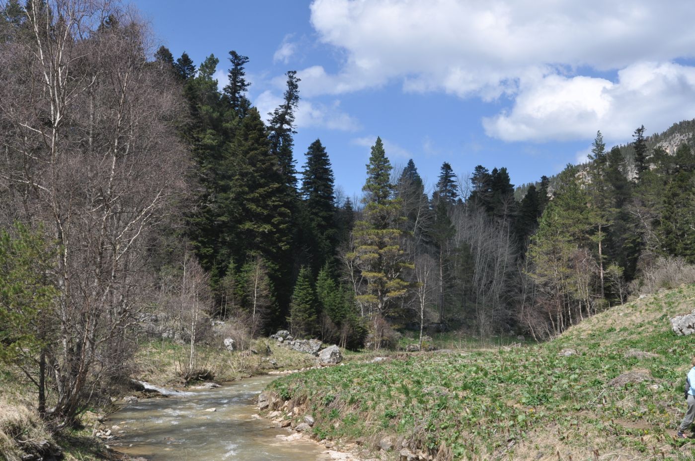 Окрестности истоков р. Курджипс, image of landscape/habitat.