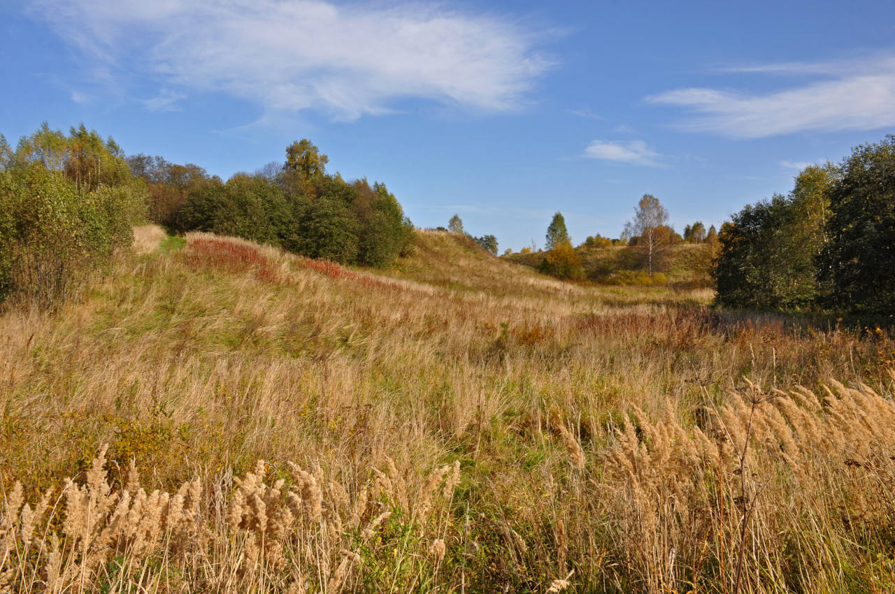 Долина реки Пажа, image of landscape/habitat.