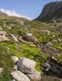 Image of landscape