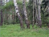 Image of landscape