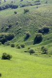 Image of landscape