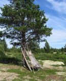 Image of landscape