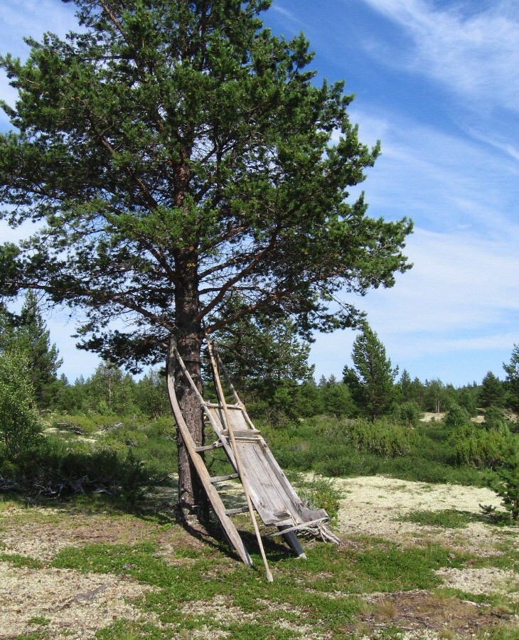 Парусная, image of landscape/habitat.