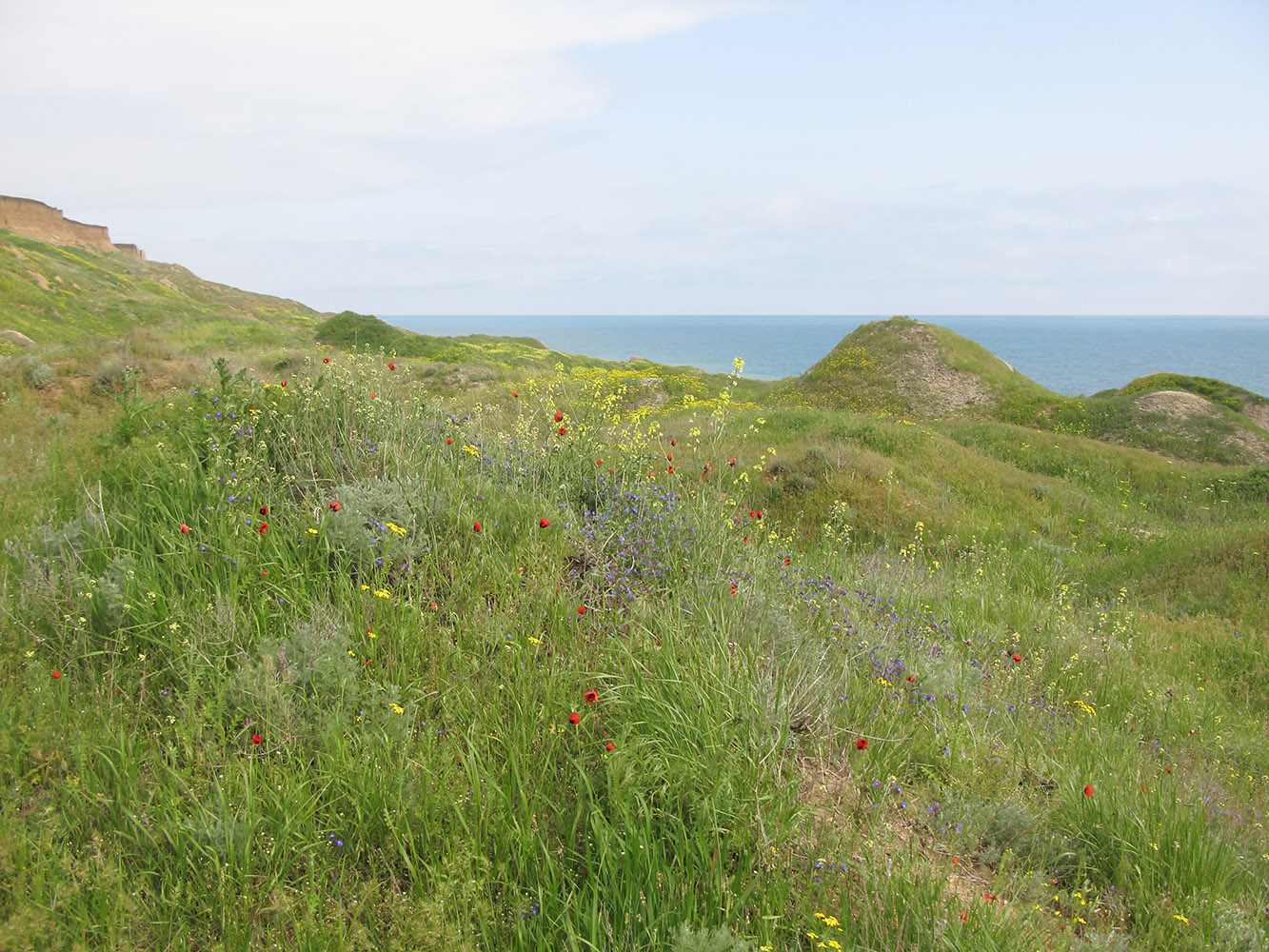 Железный Рог, image of landscape/habitat.