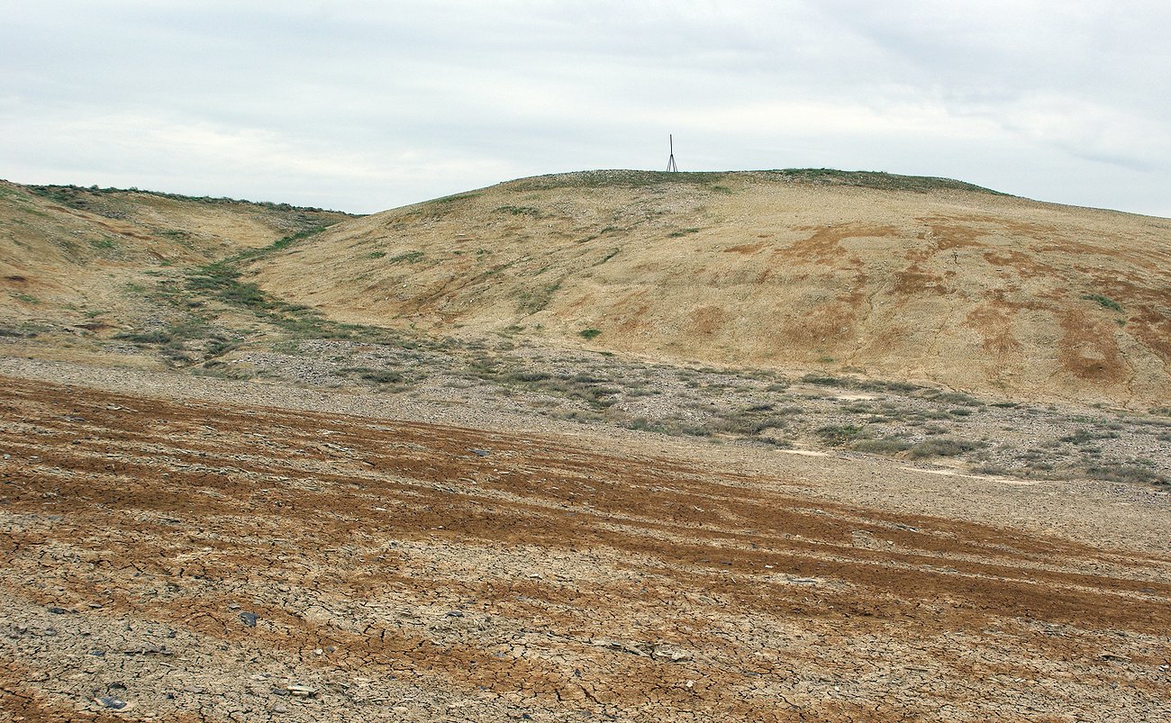 Космурын, image of landscape/habitat.