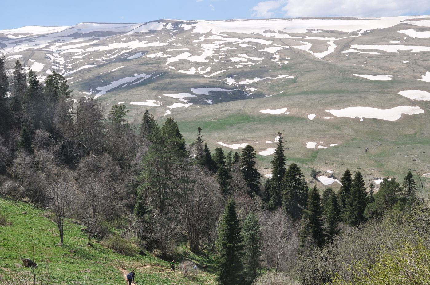 Окрестности истоков р. Курджипс, image of landscape/habitat.