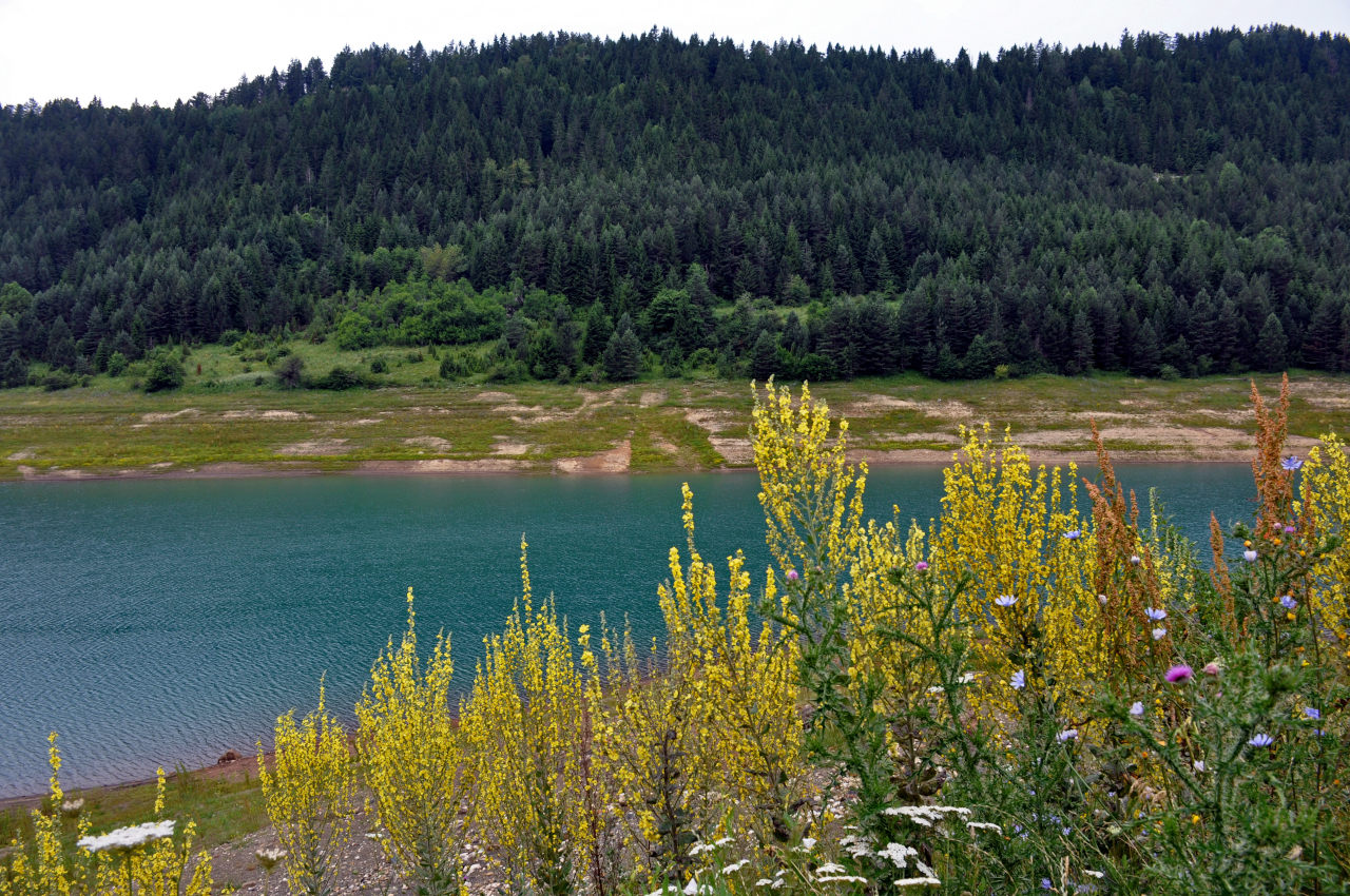 Западный берег озера Заовине, image of landscape/habitat.