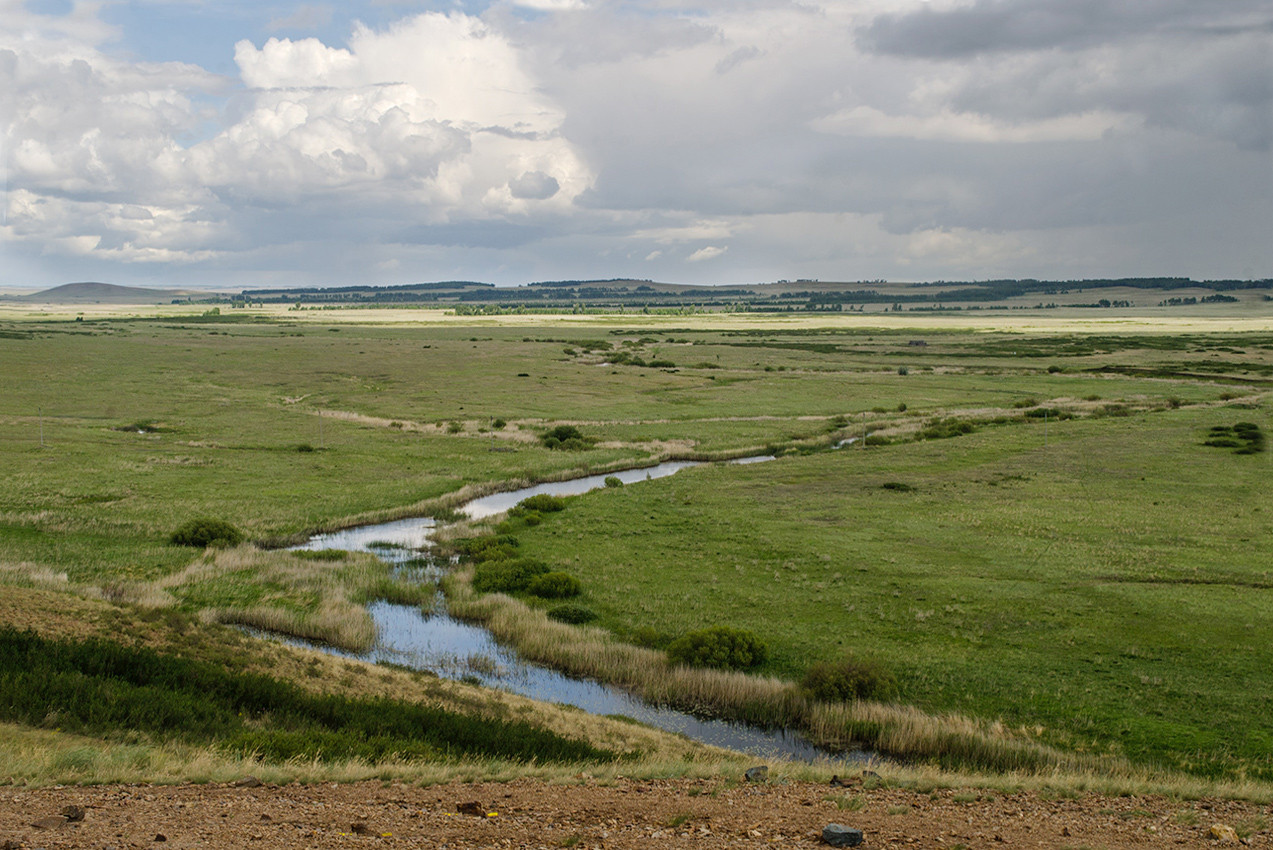Аркаим, image of landscape/habitat.
