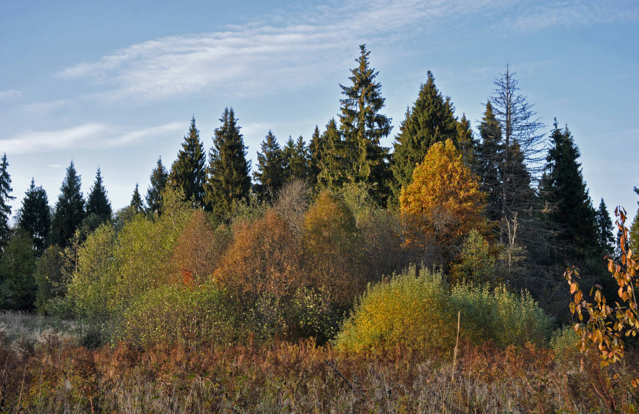 Долина реки Пажа, image of landscape/habitat.