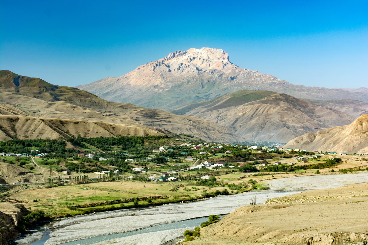Самур кий лес